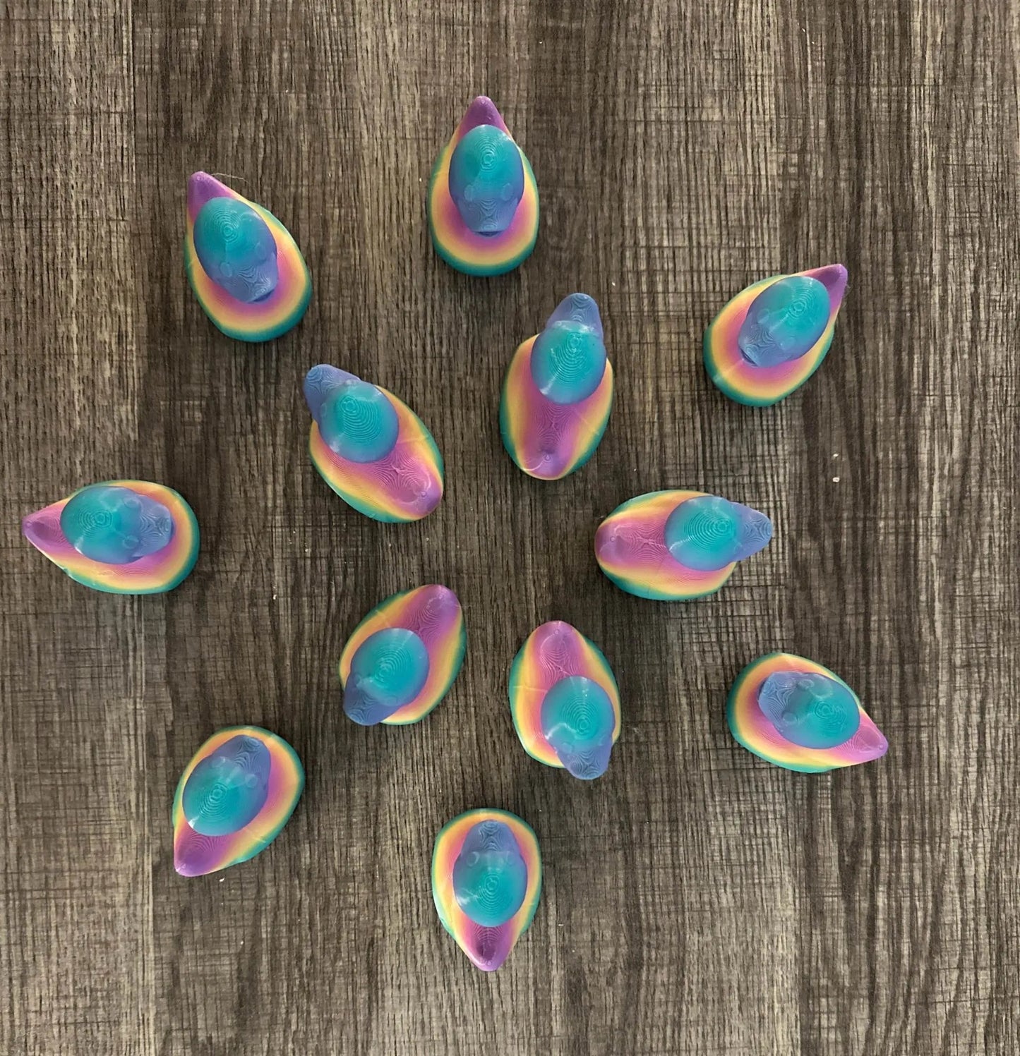 Top View of the Jeeple Ducks