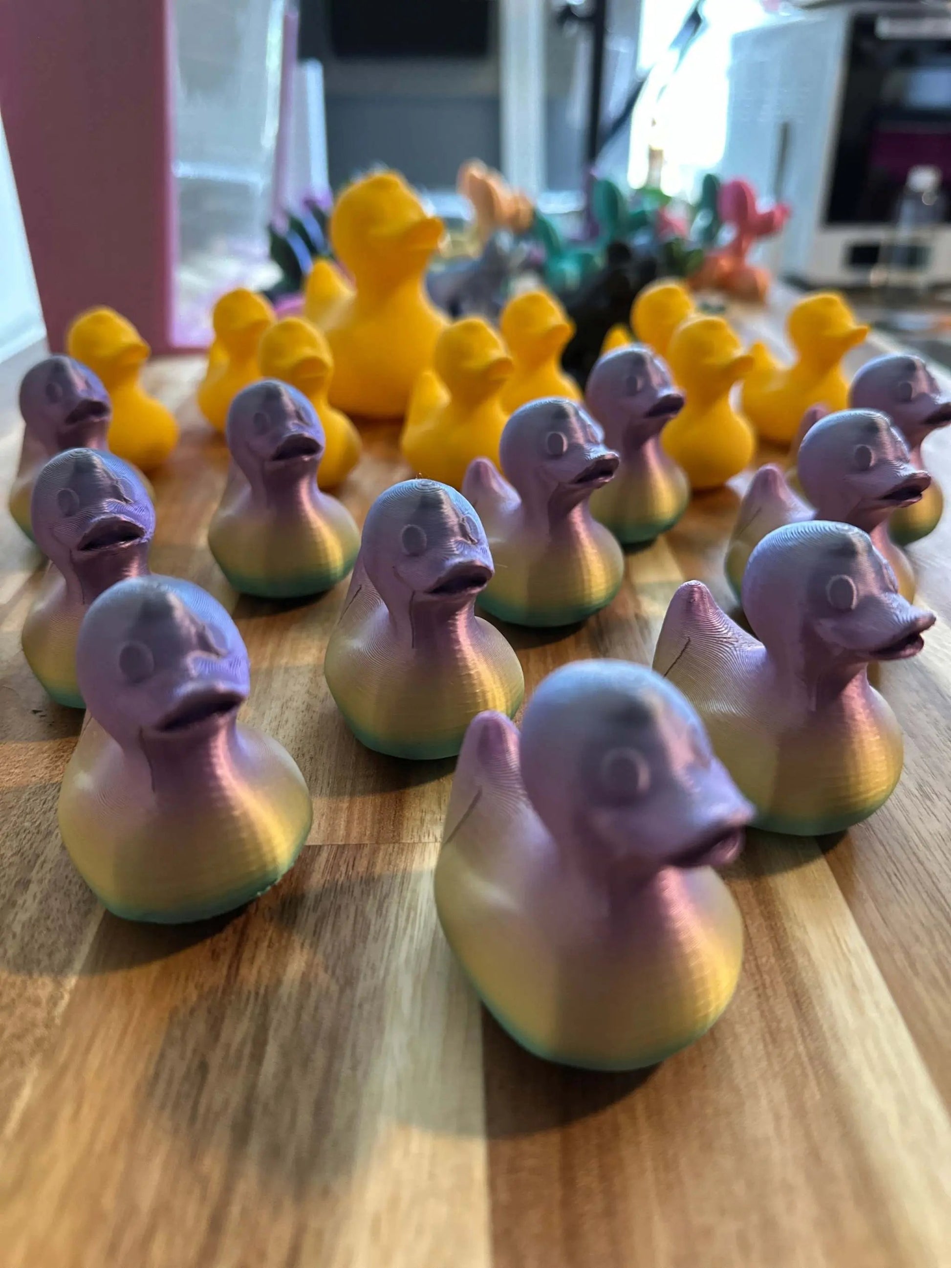 Multiple views of the Ducks