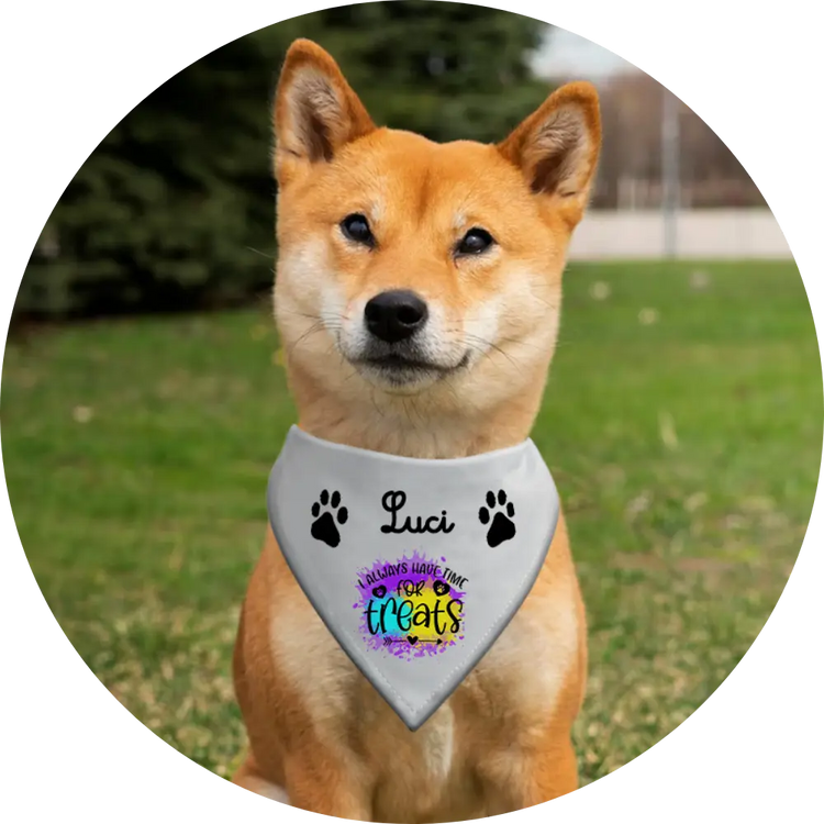 Dog Bandana Model - Shiba Inu